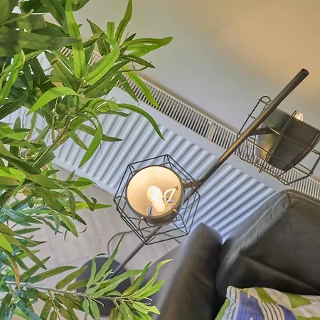 De Veluwse Houtduif *