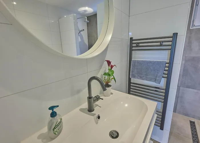 De Veluwse Houtduif خارديرن