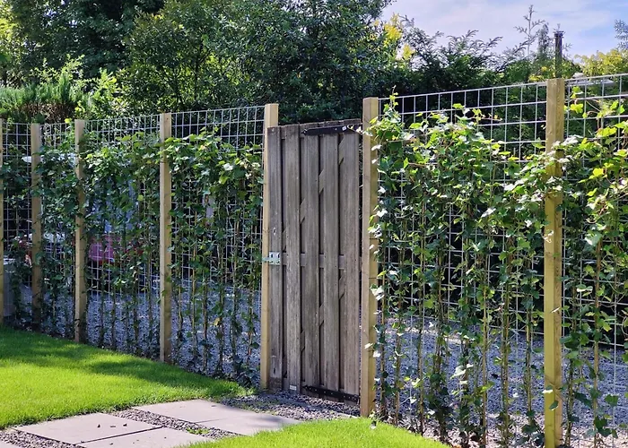 De Veluwse Houtduif بيت للعطل