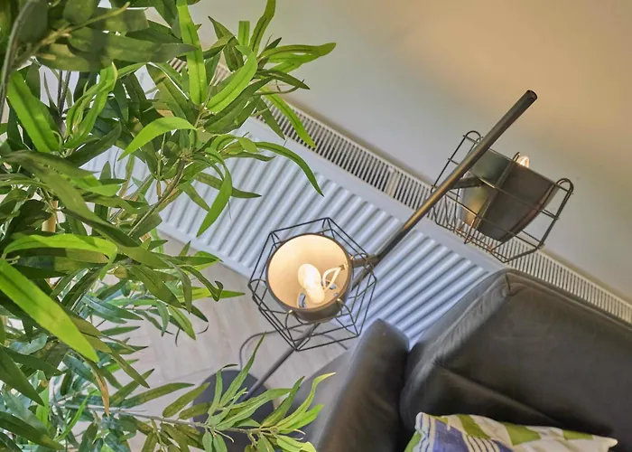 De Veluwse Houtduif *