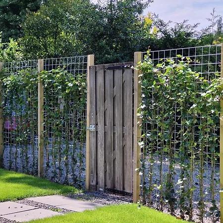 De Veluwse Houtduif Holiday home Garderen
