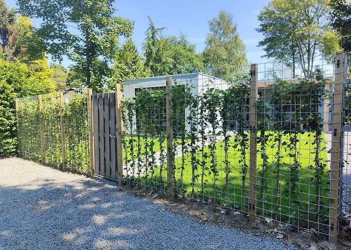 De Veluwse Houtduif Garderen